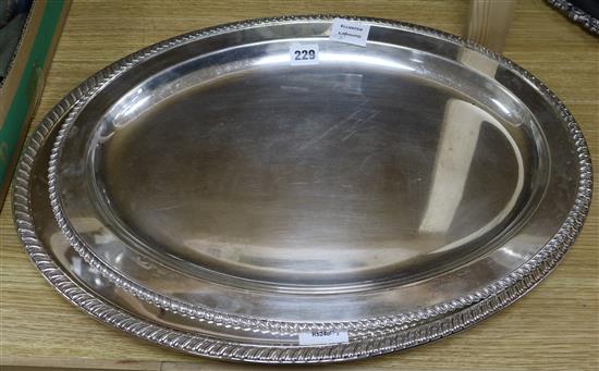 Two large oval plated meat dishes